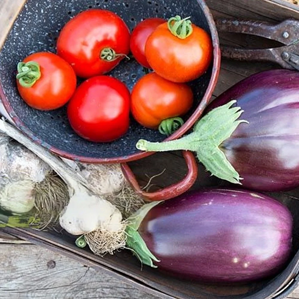 Seminte Tomate Mano 0.5 g