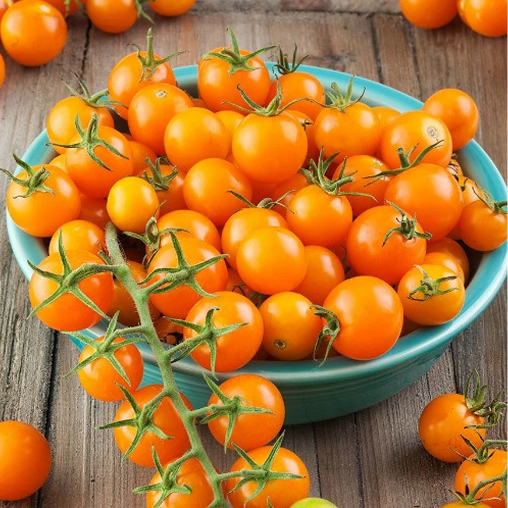 Seminte Tomate Orange Cherry 0.2g