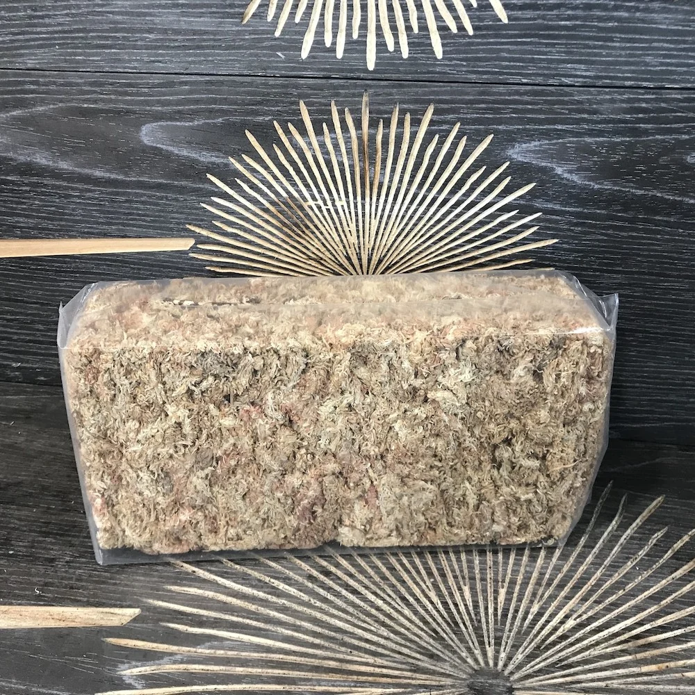 Sphagnum Moss premium deshidratat (Chile, 5 stars)
