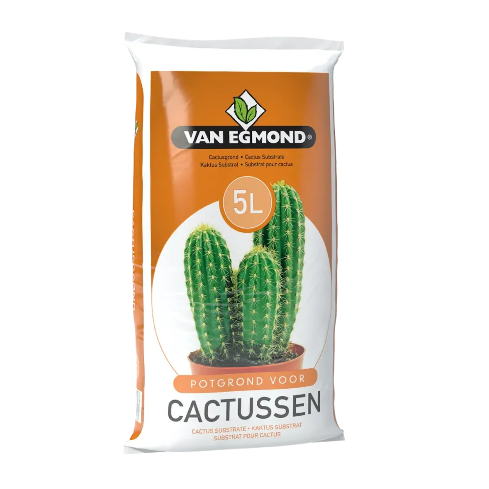 Substrat de cactusi / plante suculente 5 L - Van Egmond