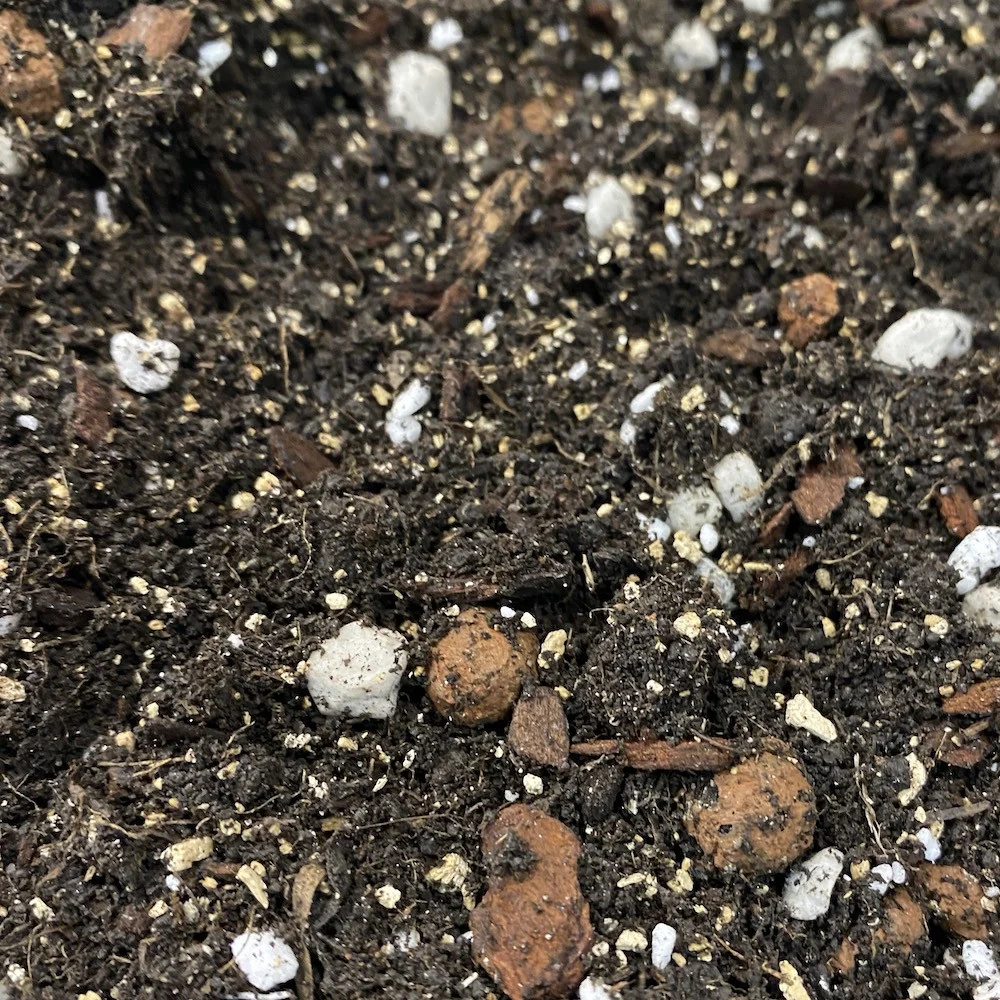 Substrat citrice, palmieri si plante mediteraneene - SG Mix