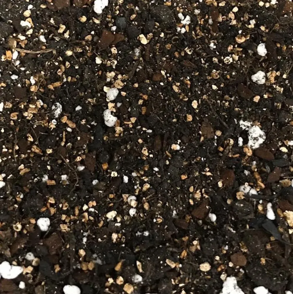 Substrat premium araceae (Philodendron, Scindapsus, Epipremnum, etc.) - SG Mix