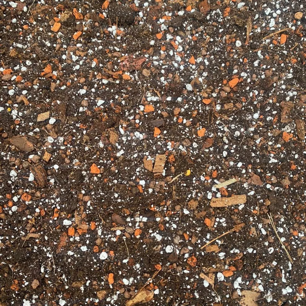 Substrat profesional Secret Garden pentru Monstera & Araceae – SG PREMIUM MIX