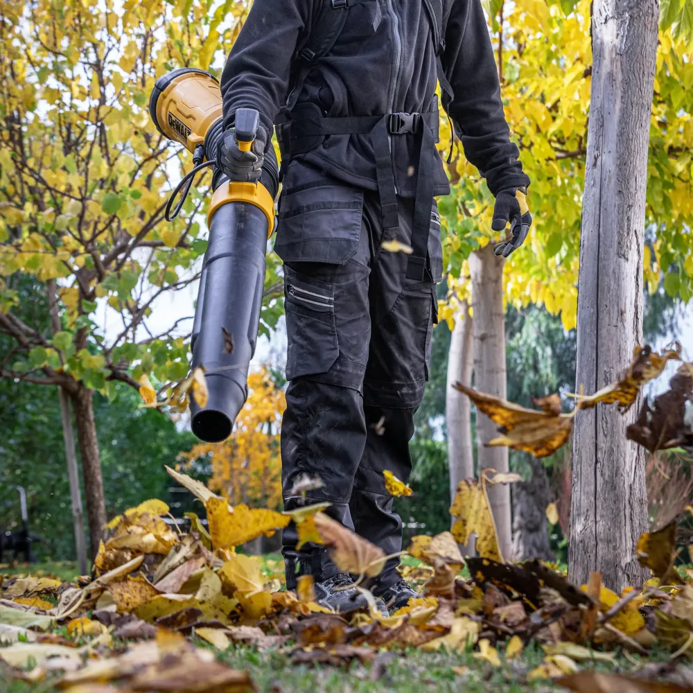 Suflantă de spate Dewalt DCMBBL800N-XJ 2x54V