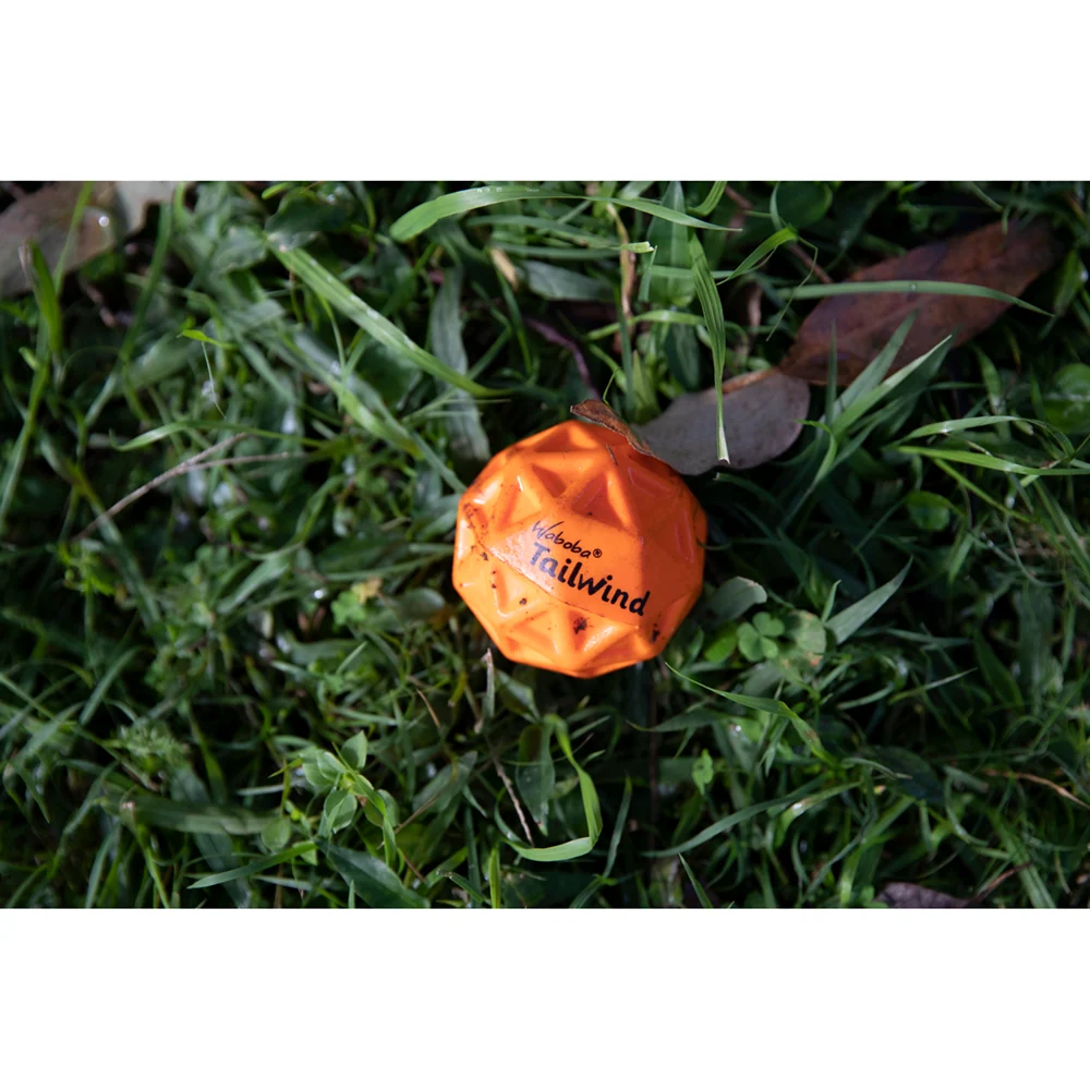 Minge hiper saritoare pentru caini - Waboba Tailwind