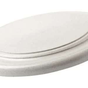 Frisbee | AP721474