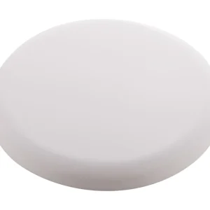 Frisbee | AP809526-01