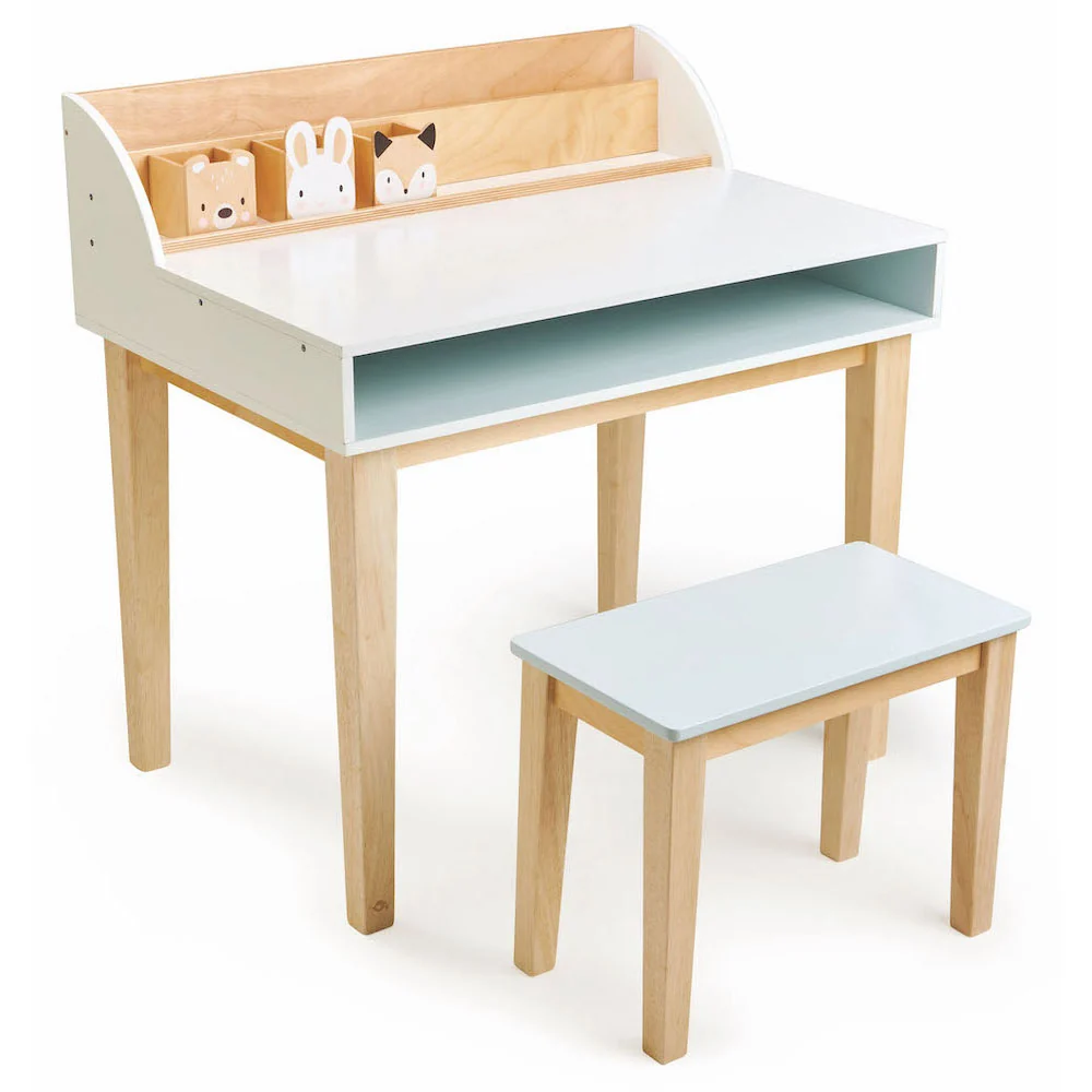 Set Birou si scaun- Desk and Chair- TL8819