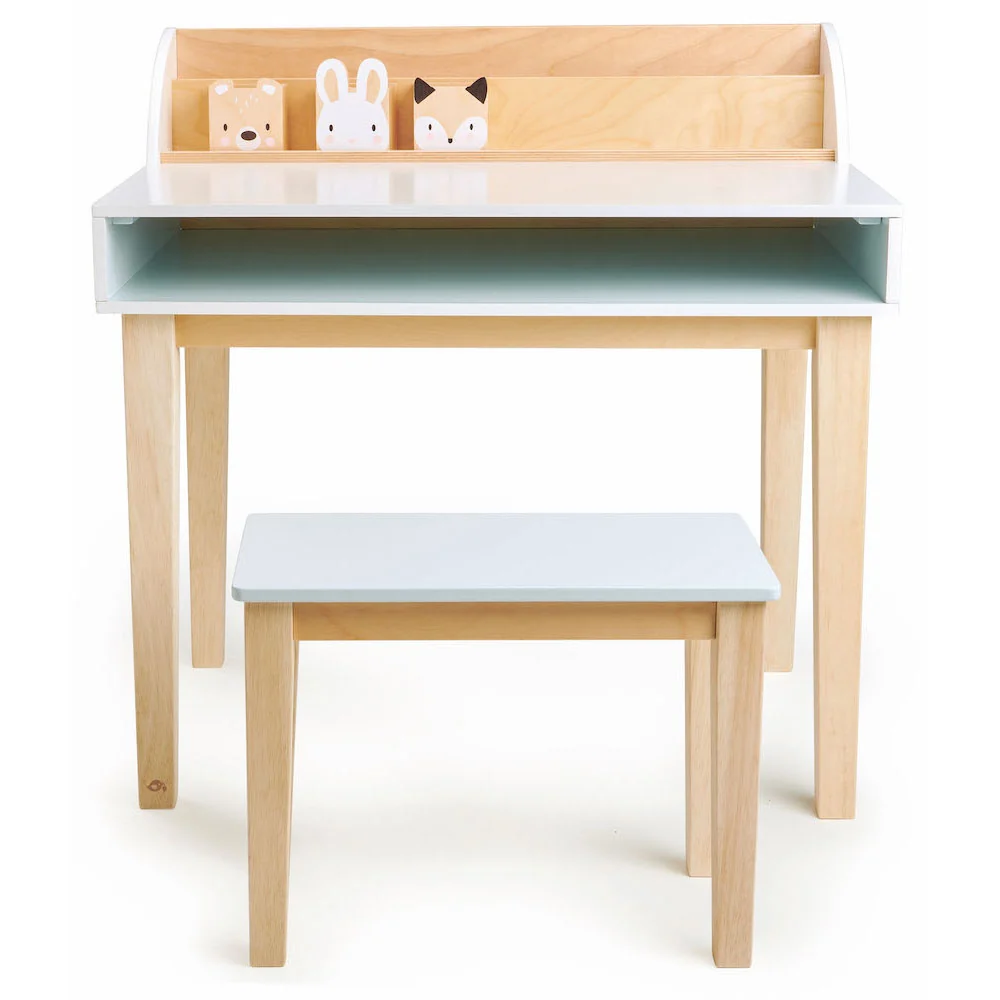Set Birou si scaun- Desk and Chair- TL8819