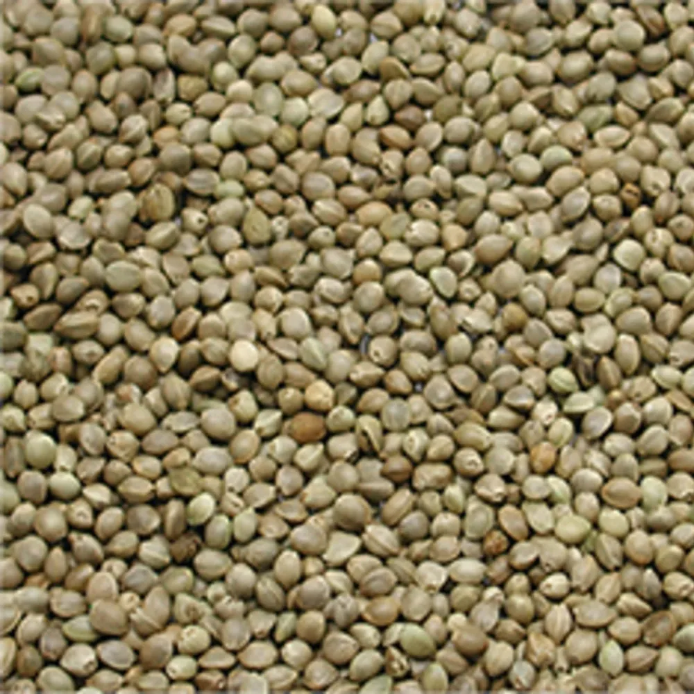 Monsterkempzaad 1kg