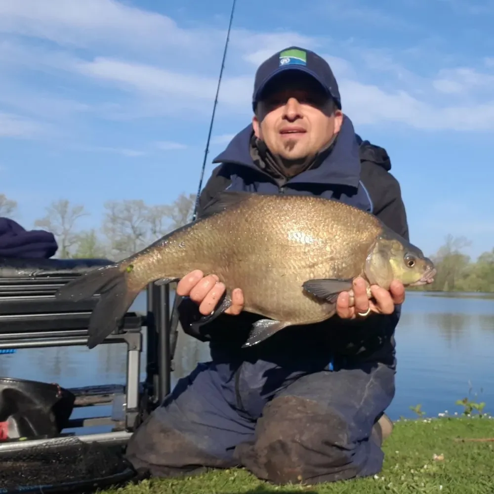 PRO MATCH METHOD MIX 2kg
