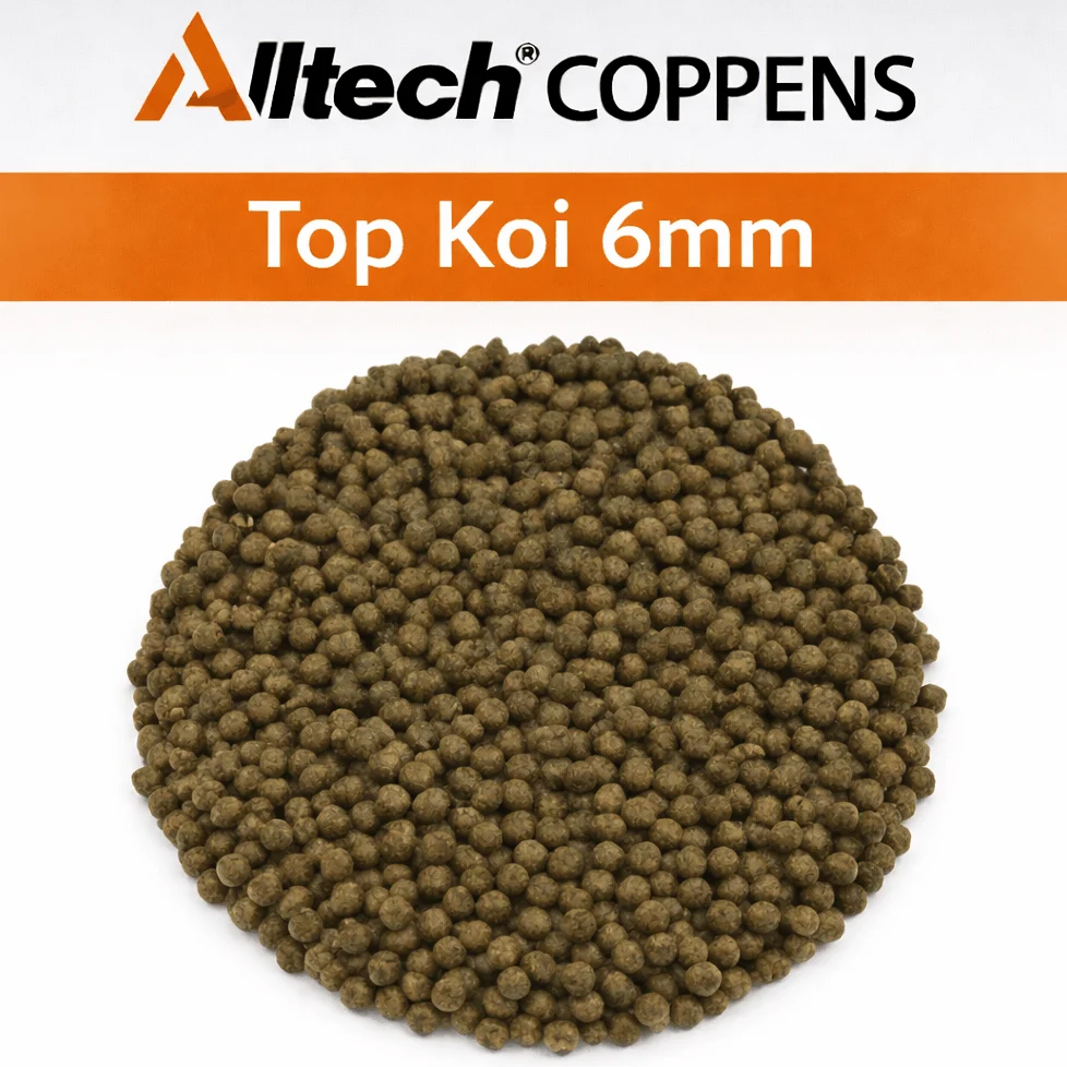 TOP KOI 6mm 15kg - ALLTECH COPPENS