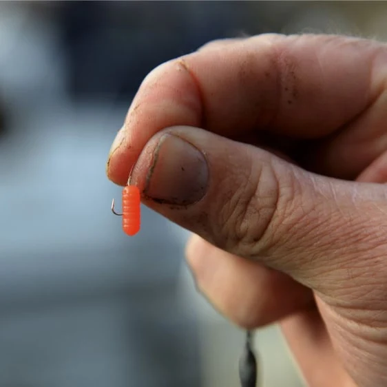 SPAGHETTI WORMS TOMATO RED