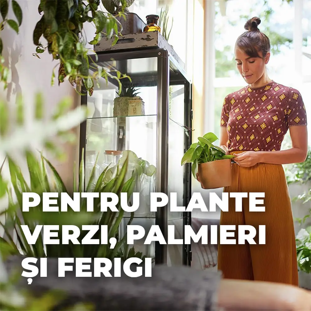 Pamant Compo Sana pentru plante verzi si palmieri 5 litri cu fertilizare 12 saptamani