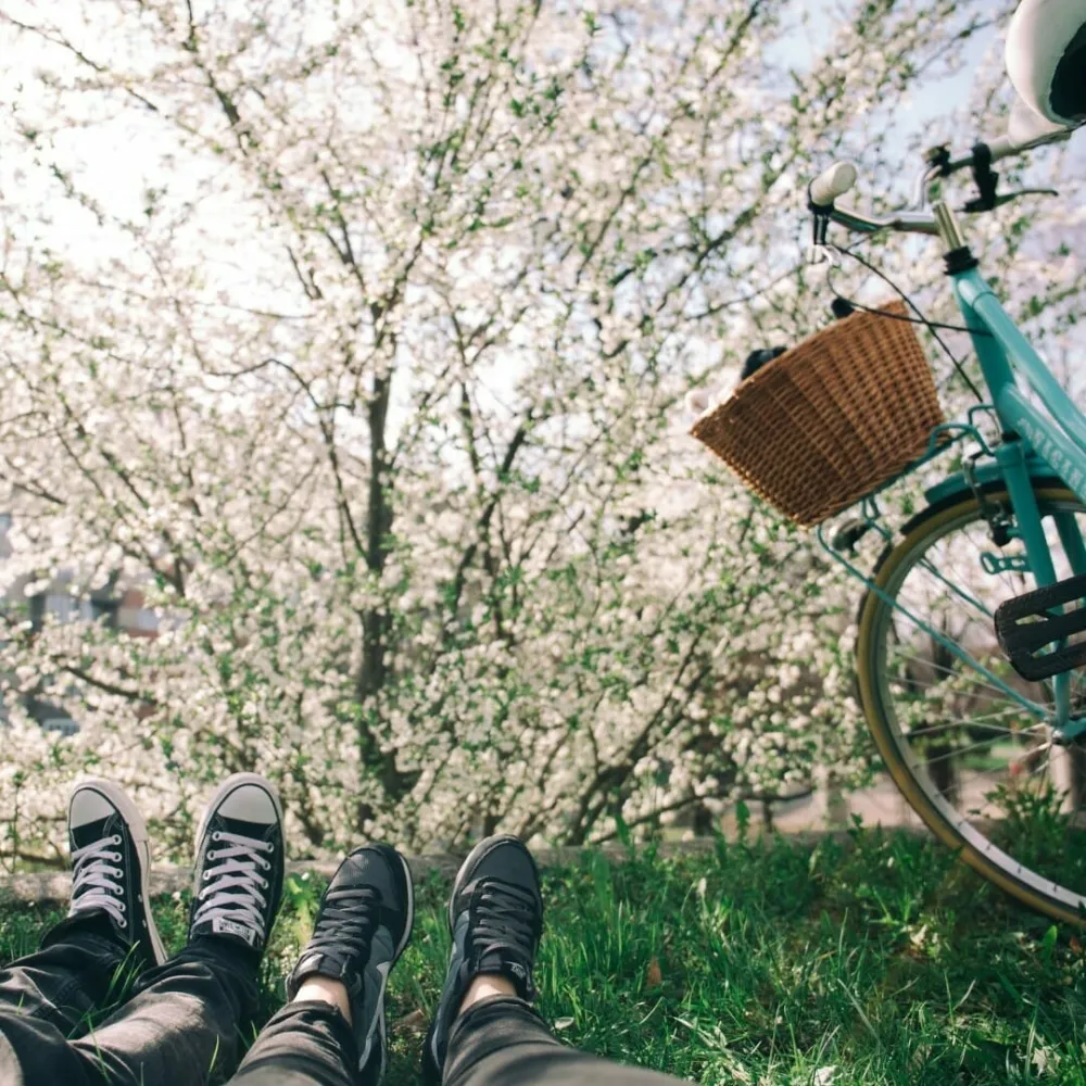 Excursie cu bicicleta 2