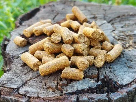 Pellets Dudi Bait CSL 6 mm