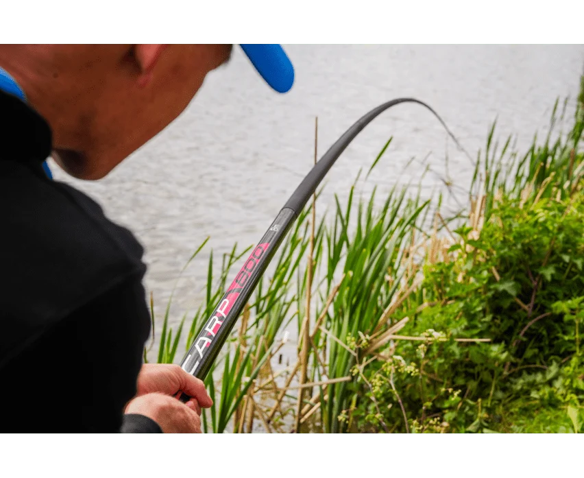 DURA CARP 800 - 8m POLE