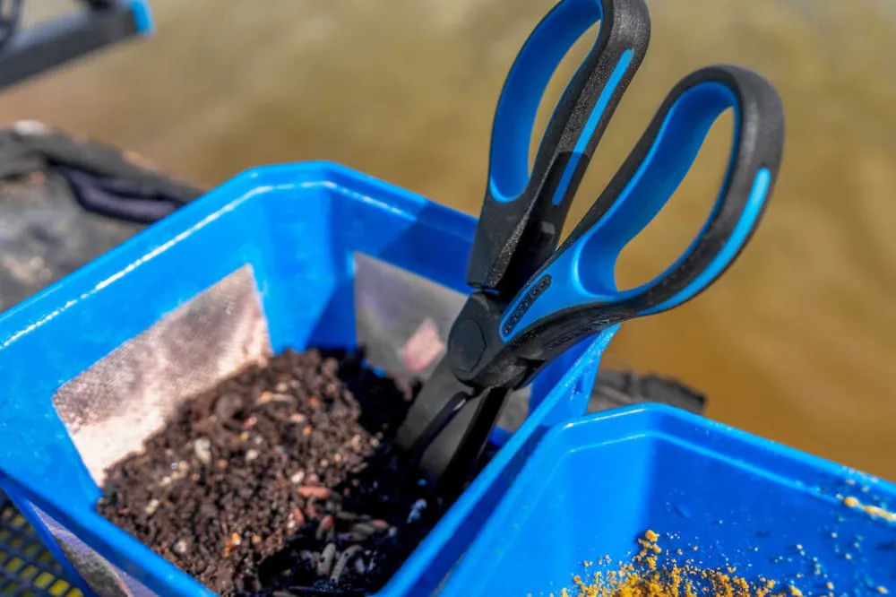 WORM SCISSORS