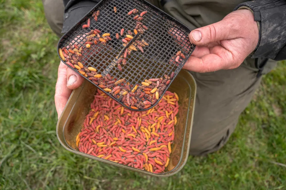 MAGGOT TUB AND RIDDLE 1PT/1.2L