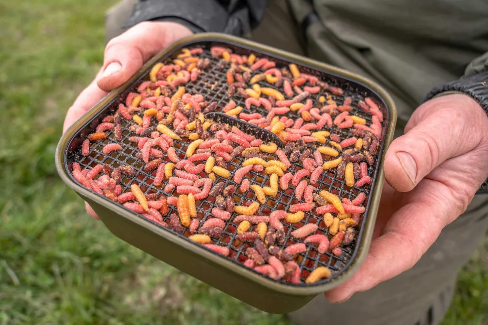 MAGGOT TUB AND RIDDLE 1PT/1.2L
