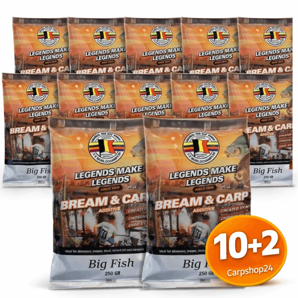 BIG FISH 250g 🎁 10+2