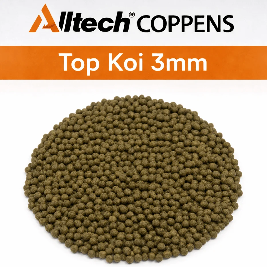 TOP KOI 3mm 15kg - ALLTECH COPPENS