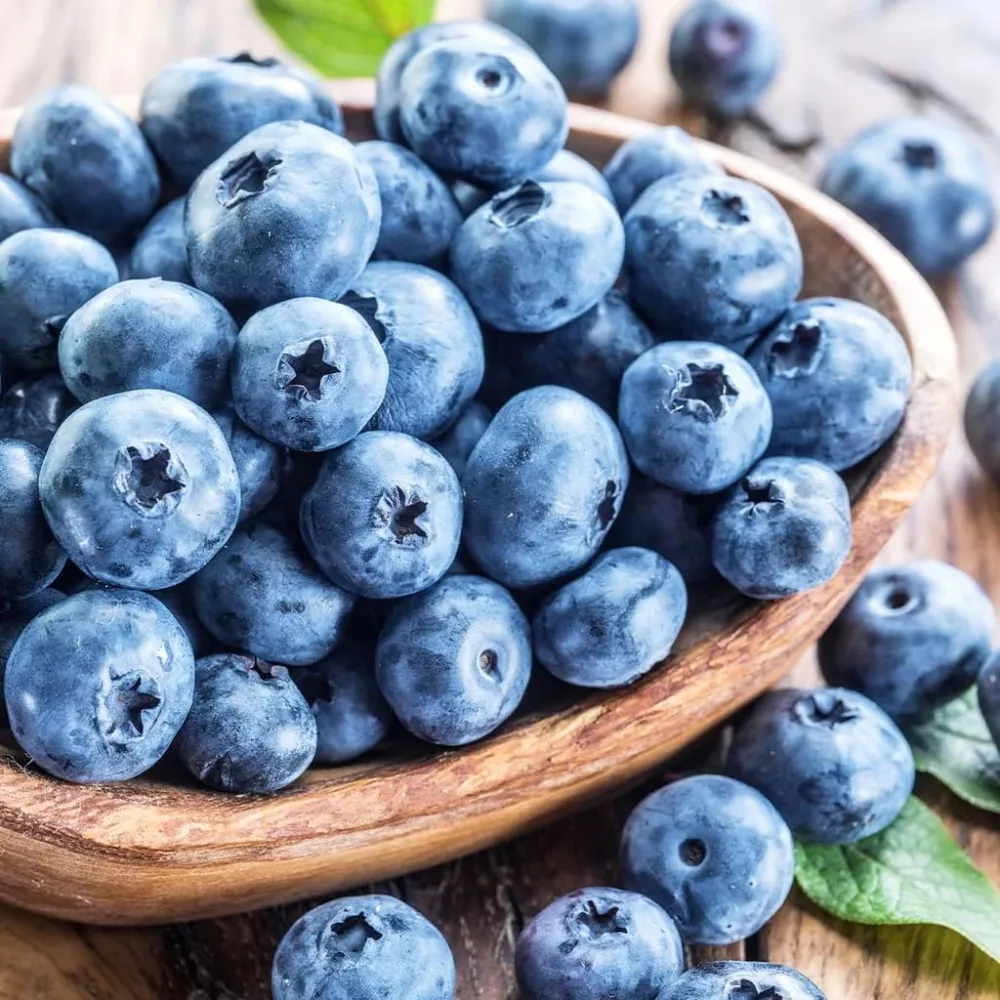 Afin cu fructe mari - Vaccinium corymbosum 'Brigitta Blue'
