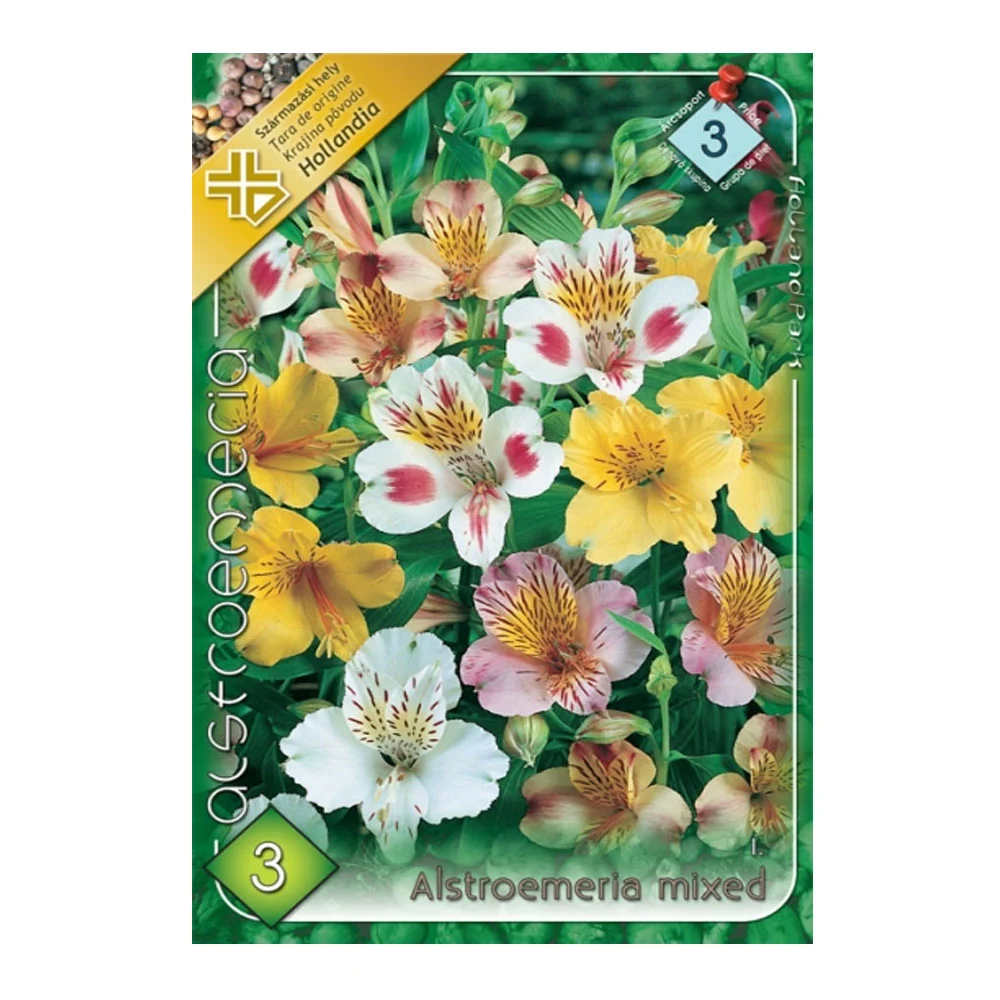 Bulbi Alstroemeria Mix 3 buc