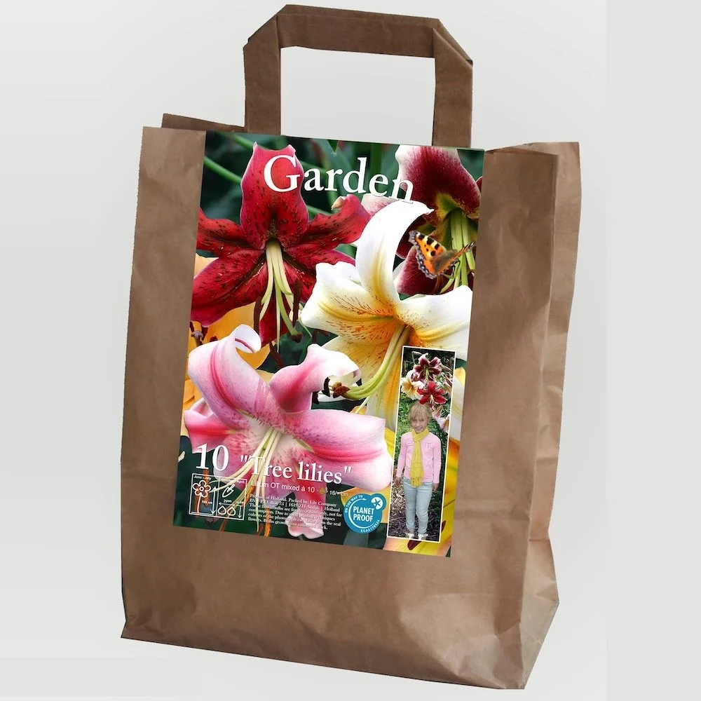Bulbi crini de gradina - lilium mix
