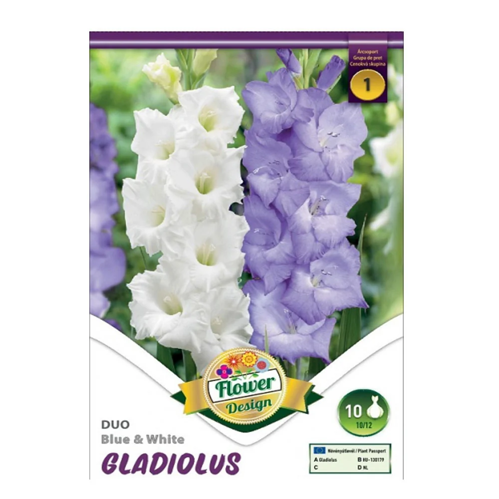 Bulbi Gladiole Duo Albastru & Alb 10 buc