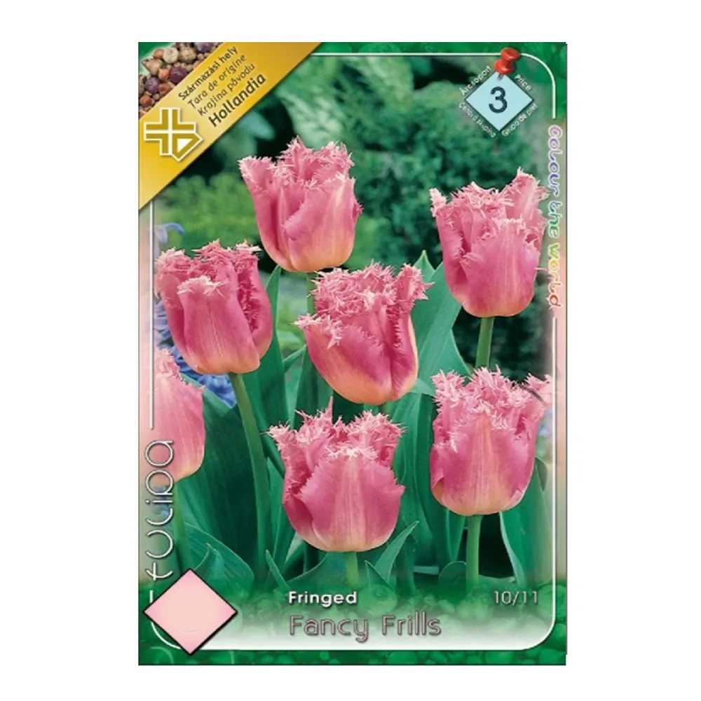 Bulbi Lalele Fancy Frills 8 buc