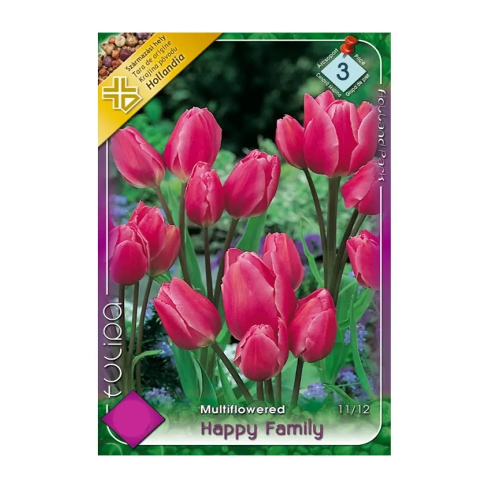 Bulbi Lalele Happy Family 8 buc