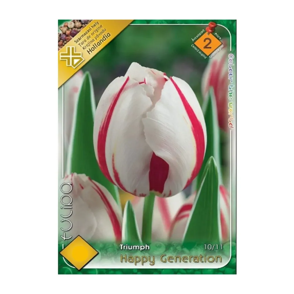 Bulbi Lalele Happy Generation 6 buc