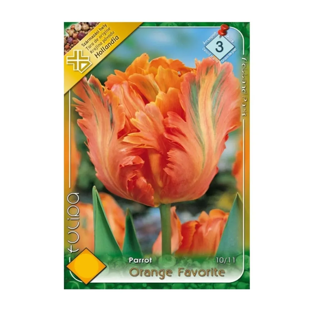 Bulbi Lalele Orange Favorite 7 buc