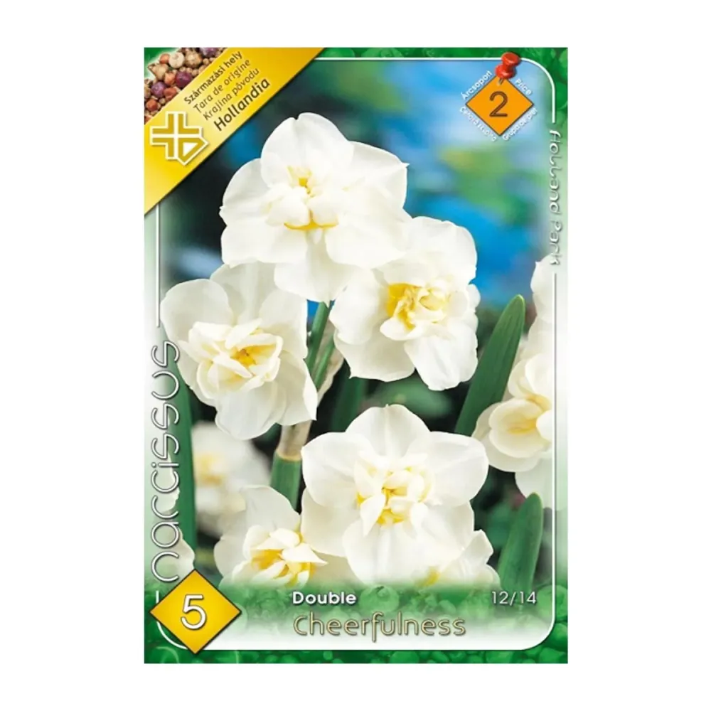 Bulbi Narcise Cheerfulness 5 buc