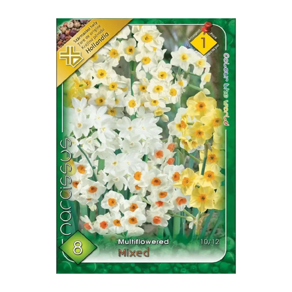 Bulbi Narcise Multiflori Mix 8 buc