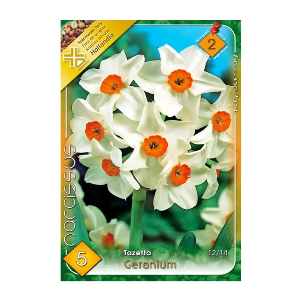 Bulbi Narcise Tazetta Geranium 5 buc