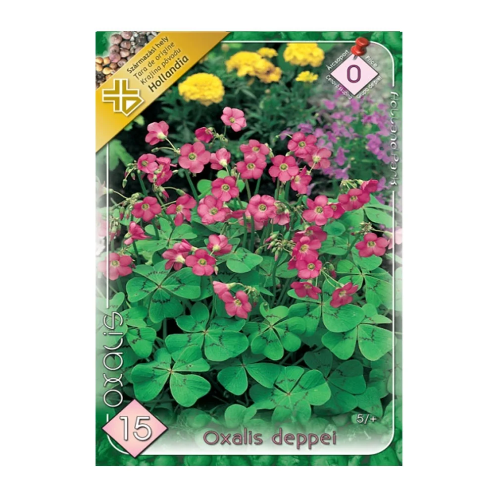Bulbi Oxalis Deppei 15 buc