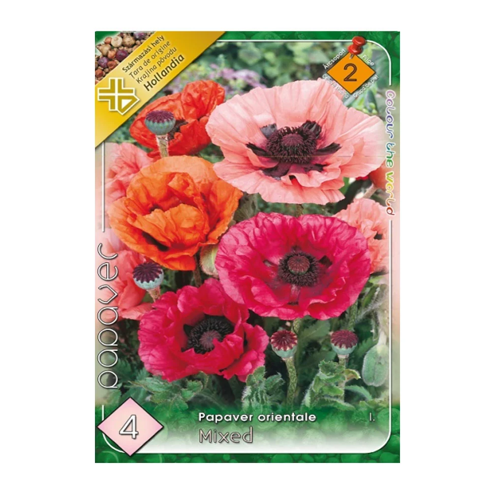 Bulbi Papaver Mix 4 buc