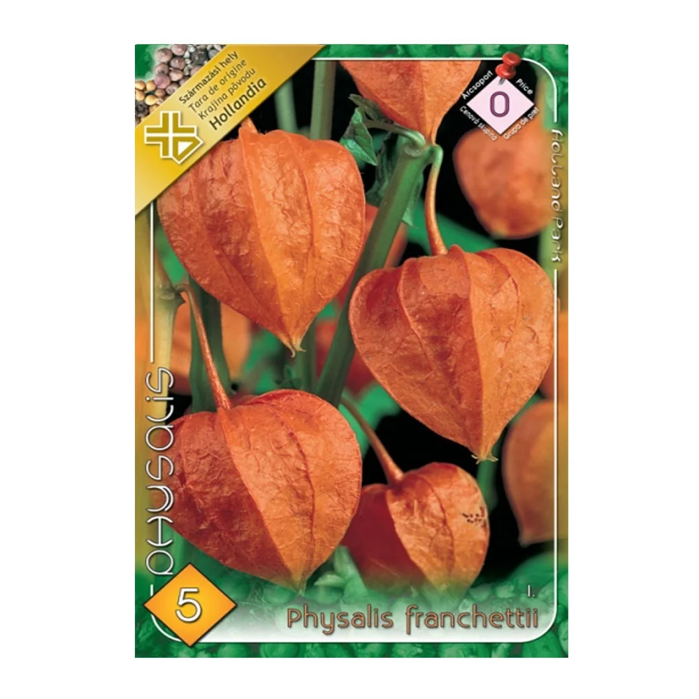 Bulbi Physalis franchettii 5 buc