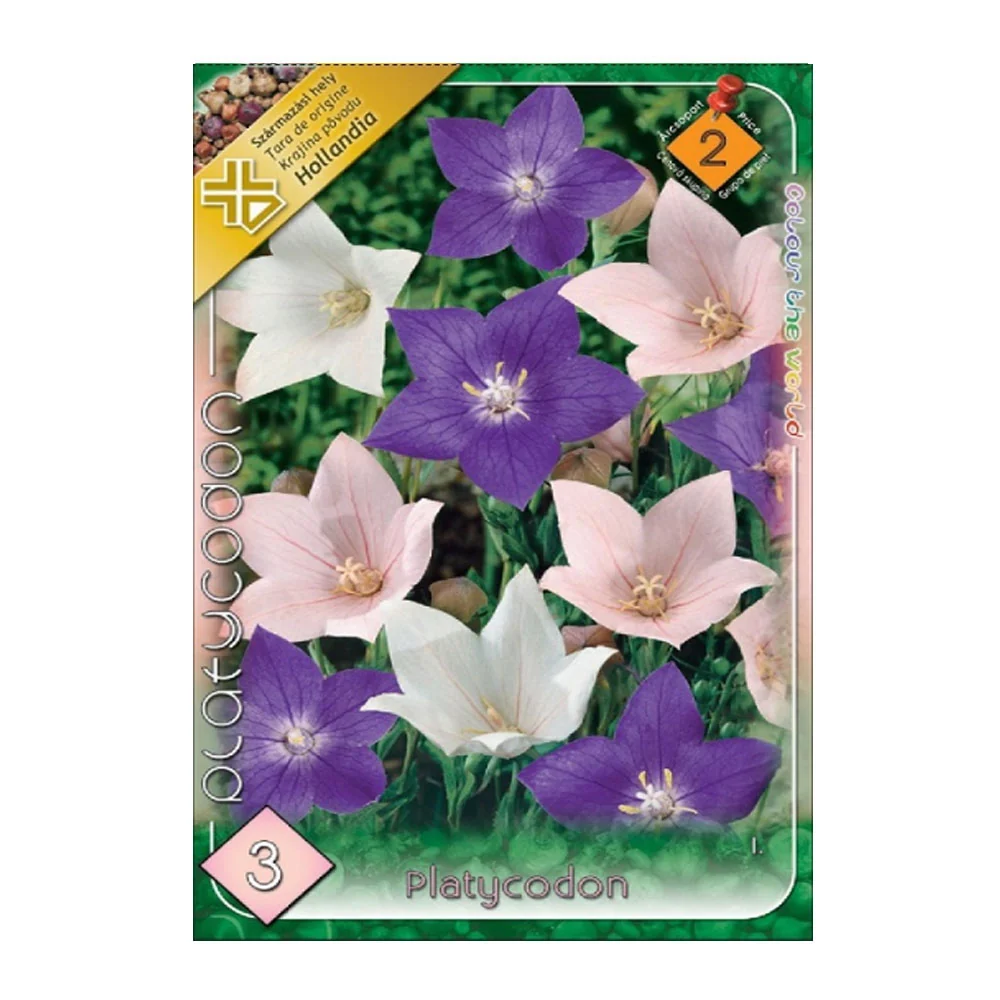 Bulbi Platycodon Mix 3 buc