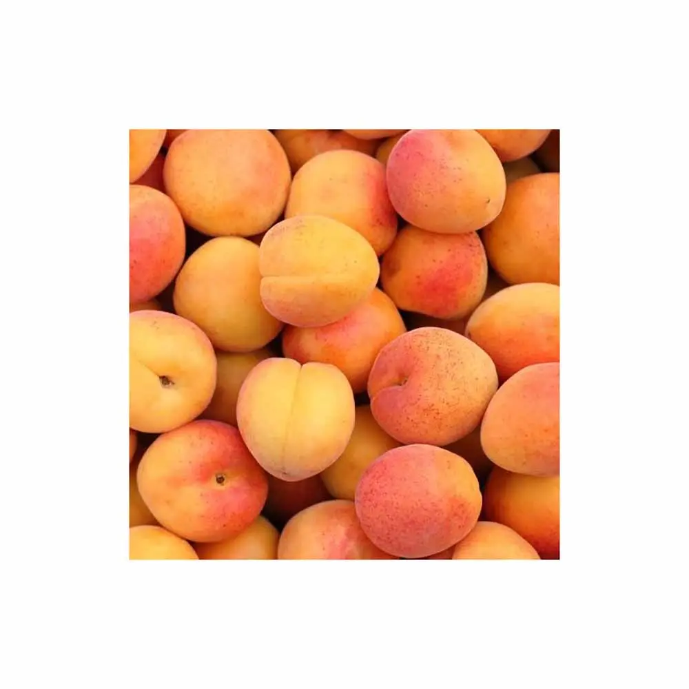 Cais (Prunus armeniaca) Luizet, cu fructe dulci portocalii, 2 pe rod