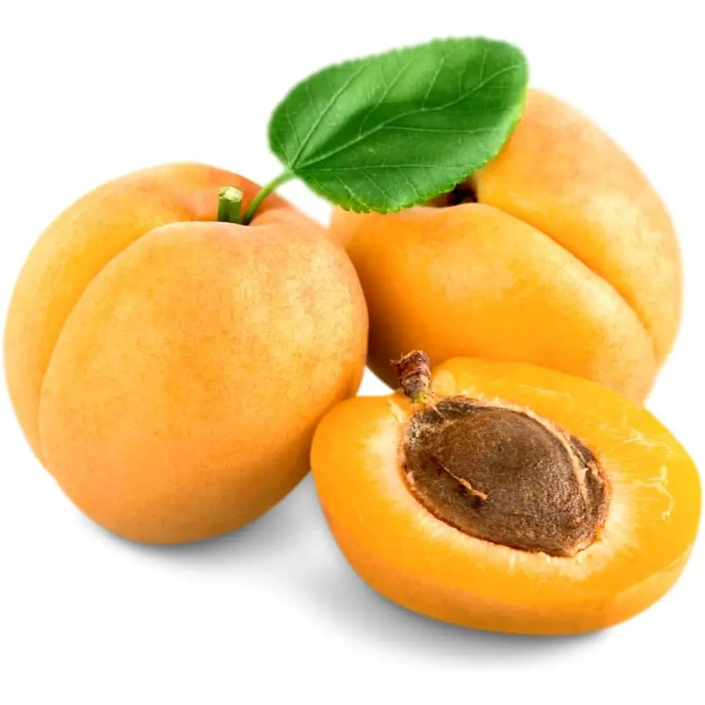 Cais (Prunus armeniaca) Luizet, cu fructe dulci portocalii, 2 pe rod
