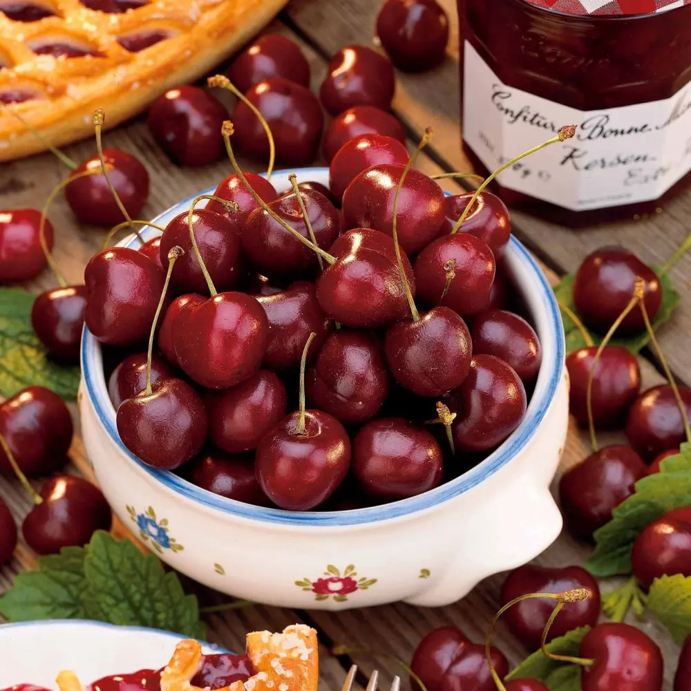 Cires (Prunus Avium) Bigarreau Van cu fructe dulci rosii, 2 pe rod