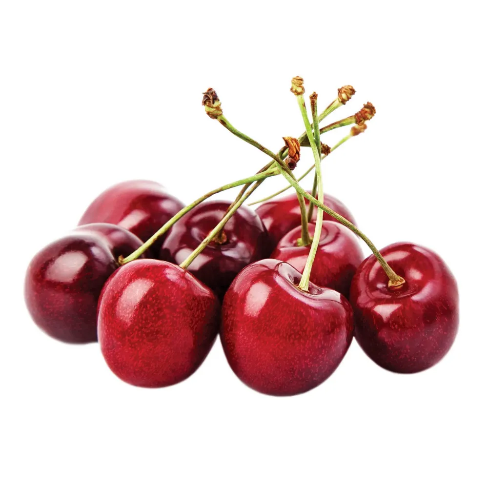 Cires ‘Van’ ghiveci - Prunus avium 'Van' - coroana formata, H100 cm