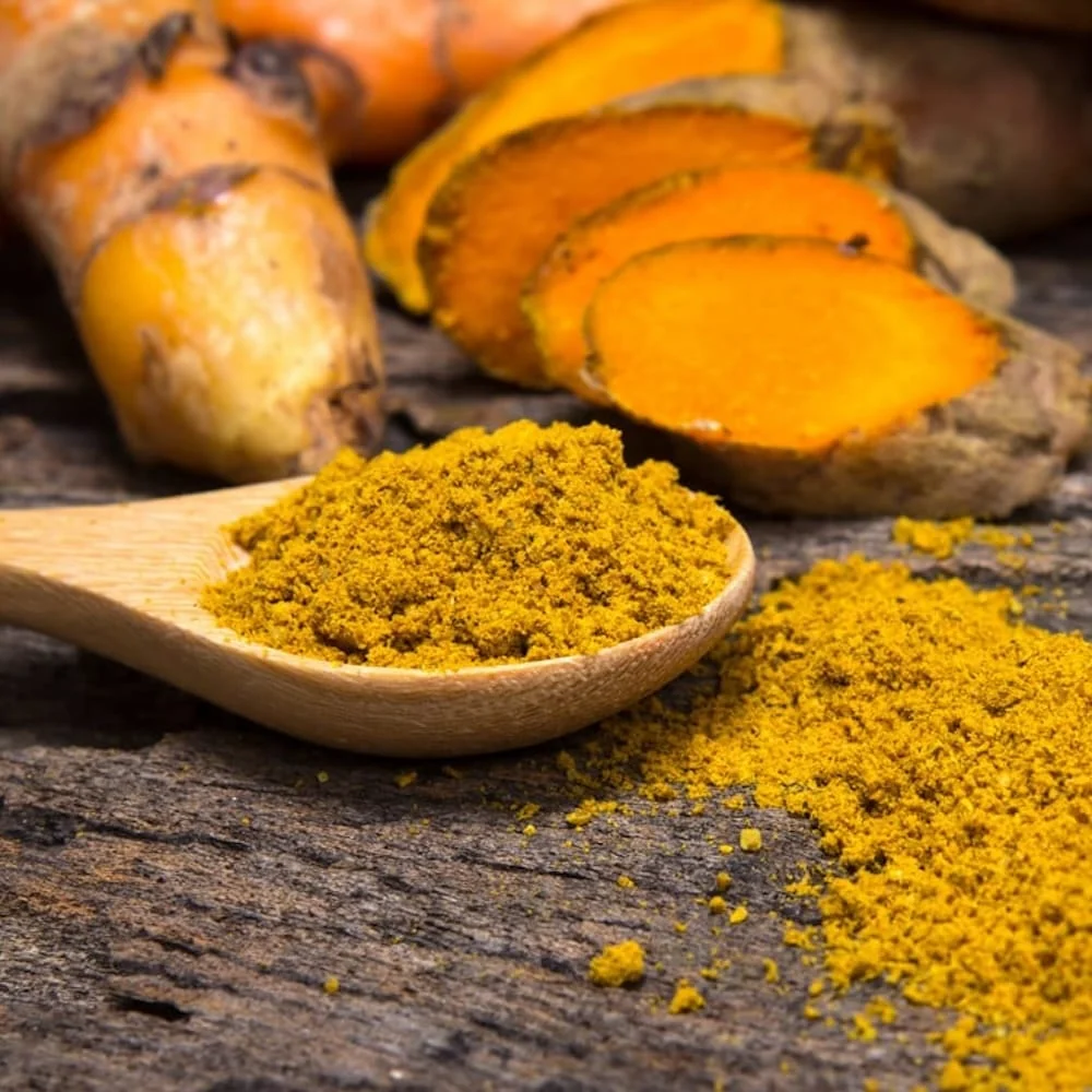 Curcuma longa (Turmeric) - rizomi ghiveci