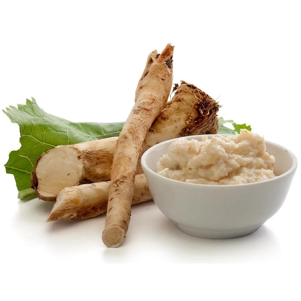 Hrean ghiveci - Armoracia rusticana (crescut 100% biologic)