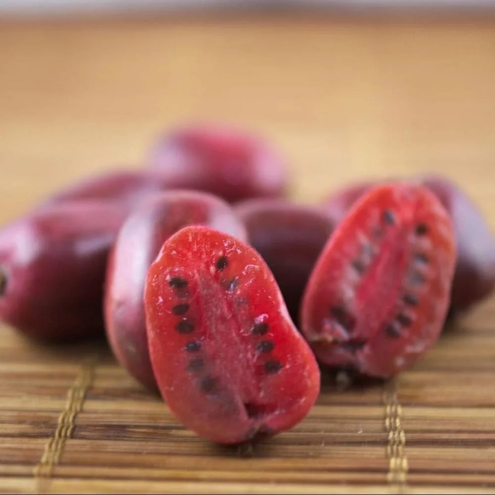 Kiwi - Actinidia arguta 'Ken's Red' (Red Kiwi) D9