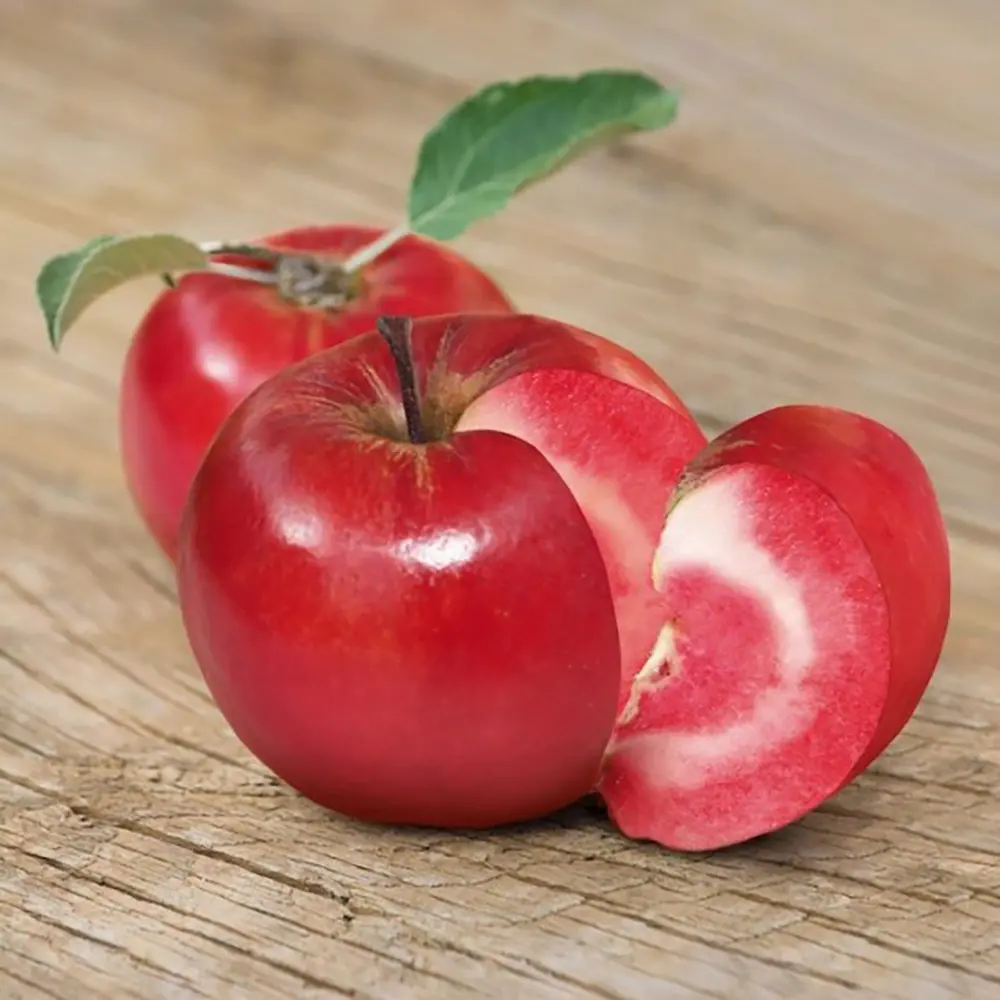 Mar (Malus) Abondanzza, cu fructe rosii dulci-zemoase, 3 pe rod