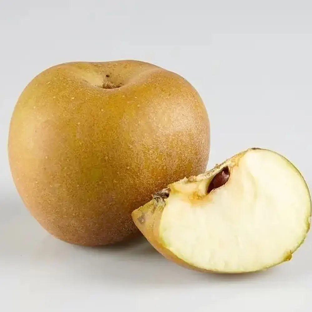 Mar (Malus) Renetta Del Canada, cu fructe verzi-galbui dulci-acrisor, 3 pe rod